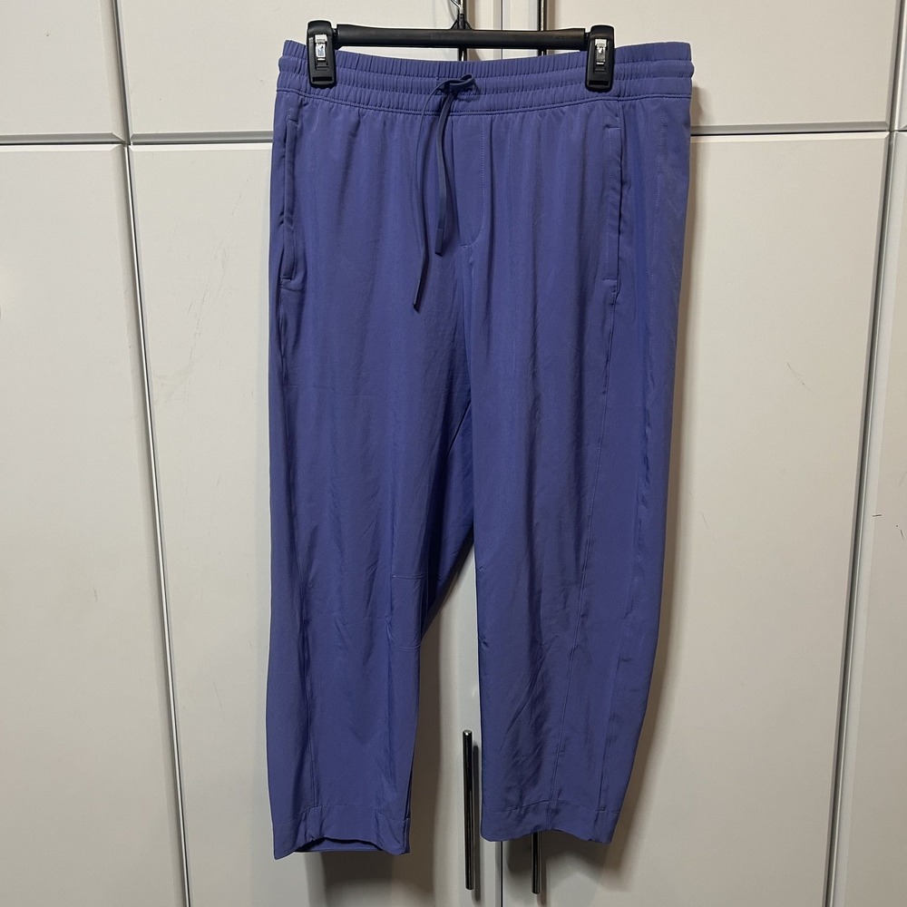 Athleta Trekkie North Jogger Pants Purple Petite 10P Lightweight Hiking Outdoor